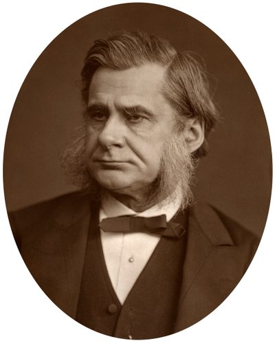 Professor Thomas Henry Huxley, 1880. av Lock and Whitfield
