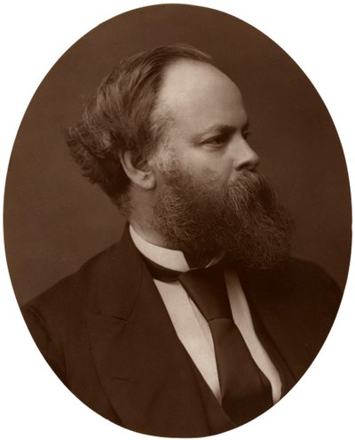 Samuel Plimsoll, Esq, MP, brittisk liberal politiker och social reformator, 1876. av Lock and Whitfield