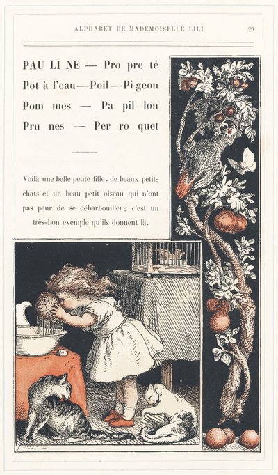 Pauline, ren, vattenkanna, hår, duva, äpplen, fjäril, plommon, papegoja, sidan 29 - Alfabetet av Mademoiselle Lili, av L. Froelich och av en pappa (Hetzel själv). Bibliotheque  Magasin d