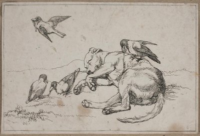 Bild 9 från En hunds liv av Lorenz Frølich