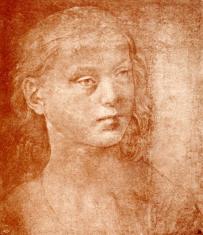 Flickhuvud av Lorenzo di Credi