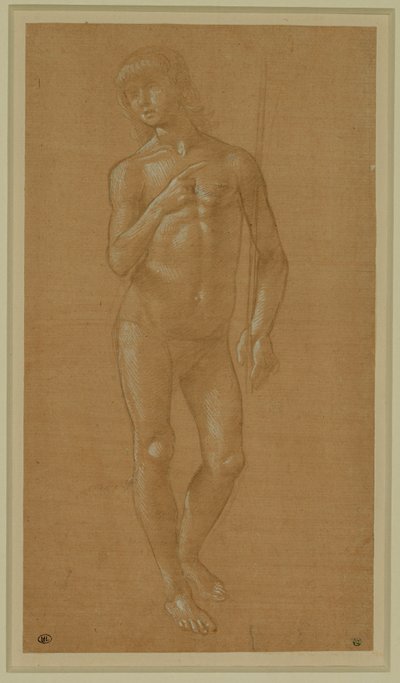 Naken ung man, helfigur, håller i en stav Silverspets, förhöjd i vitt, ljusrosa papper ... av Lorenzo di Credi