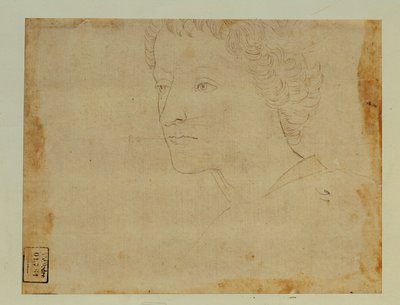 Porträtt av en pojke med lockigt hår, tre fjärdedelar mot vänster... av Lorenzo di Credi