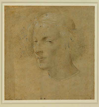 Porträtt av en ung man med kalott ... av Lorenzo di Credi