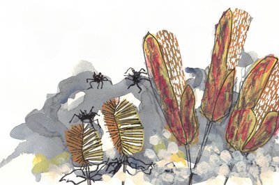 Botaniska Banksia-spindlar av Lori Ann Folz