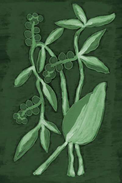 Botaniska nyanser av grönt av Lori Ann Folz