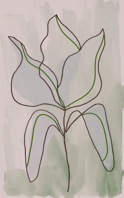 Minimalistisk botanisk skiss av Lori Ann Folz