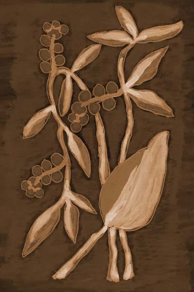 Ekologiska Sepia Botanicals av Lori Ann Folz