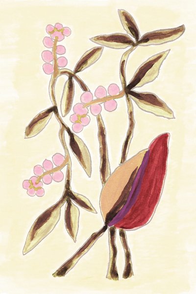 Pink Berry Botanicals av Lori Ann Folz