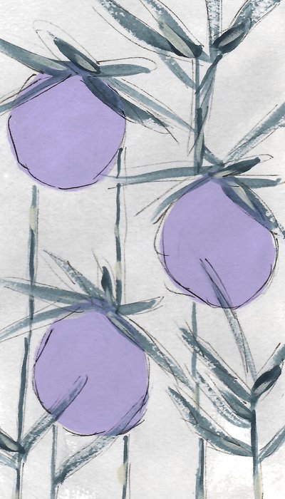 Lila botaniska frukter av Lori Ann Folz