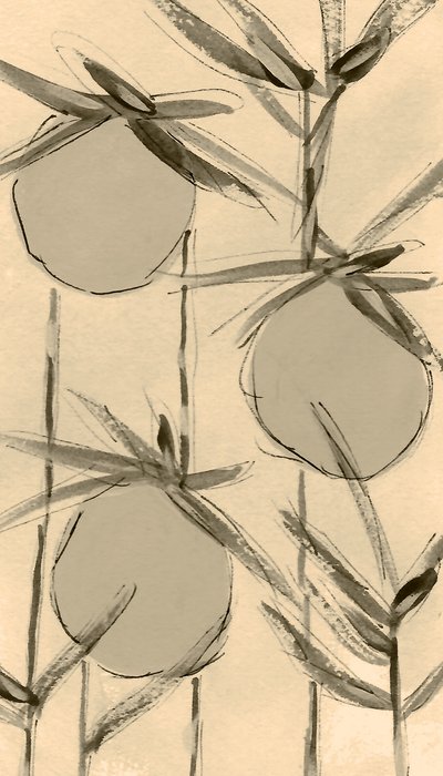 Sepia-bomullsplantor av Lori Ann Folz