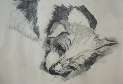 Jack Russel, 2015, av Lou Gibbs