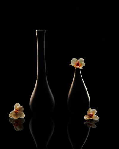 Eleganta orkidéreflektioner av Louie Luo
