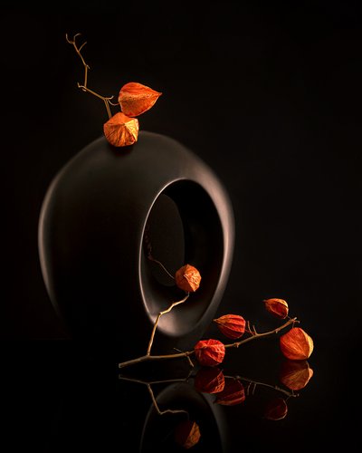 Orange Botanicals svart vas av Louie Luo
