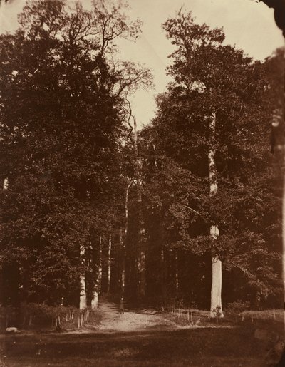 Skog vid Saint-Cloud av Louis-Rémy Robert