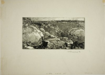Cirque du Long-Rocher av Louis Auguste Lepère