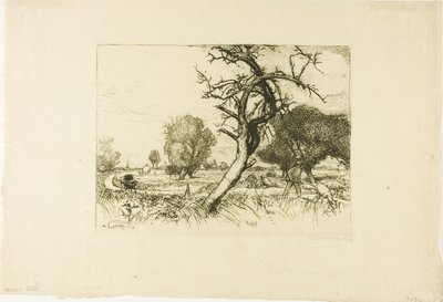 Det döda äppelträdet av Louis Auguste Lepère