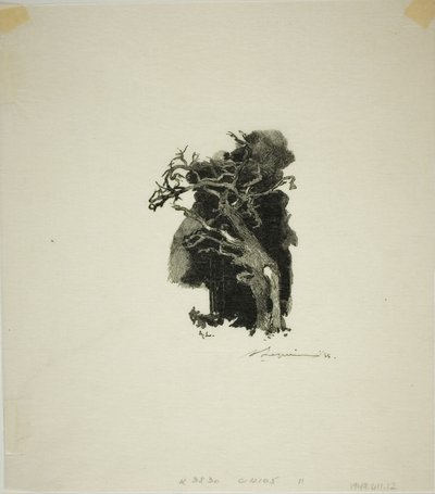 Spitfire av Louis Auguste Lepère