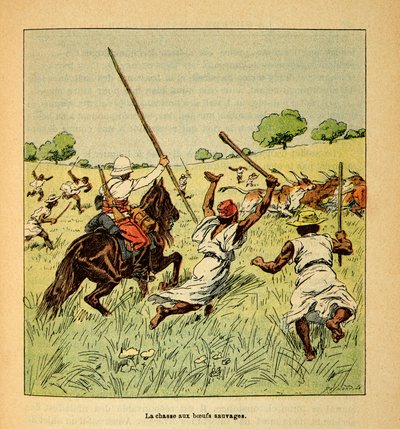 The War in Madagascar-Anecdotal History of the French Expeditions of 1885-1895 av Henri Galli dit Galllichet (1854-1922), illustrerad av Louis Bombled (1862-1927): Jakten på vildoxar i Madagaskar 1895, Privat samling av Louis Charles Bombled