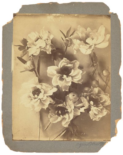 Tiffany Studios, ca 1898-1920 (fotografi s/v) av Louis Comfort Tiffany