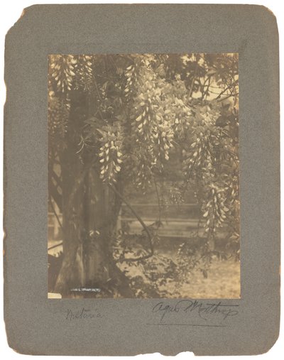 Tiffany Studios, ca 1898-1920 (fotografi s/v) av Louis Comfort Tiffany