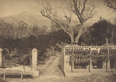 Jordbruksscen med berg, 1850-talet. av Louis Crette