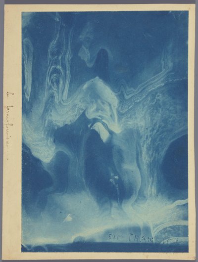 Le transformisme / Sic transit (titel på objekt) av Louis Ducos du Hauron (attributed to)