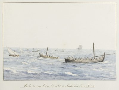 Koraalvissers voor de kust på Sicilien ter höjd av Terra Nuova Korallfiske på Siciliens kuster mot Terra Nuova (titel på objekt) Resor i Italien, Sicilien och Malta - 1778 (serietitel) av Louis Ducros