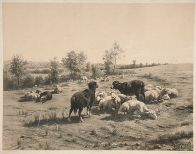 Fåren av Louis Emmanuel Soulange Teissier