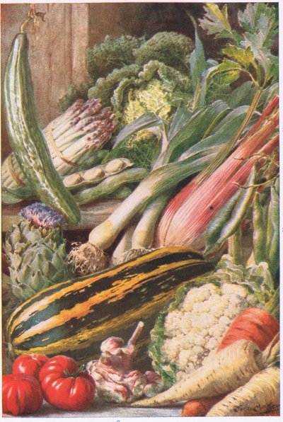Trädgårdsgrönsaker, illustration från 