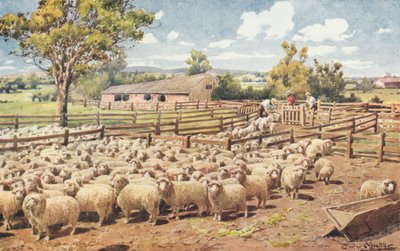 Scen på en australisk fårstation (färg litho) av Louis Fairfax Muckley