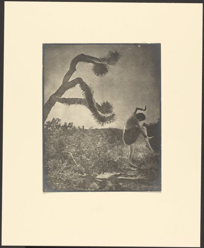 Apache-dans av Louis Fleckenstein