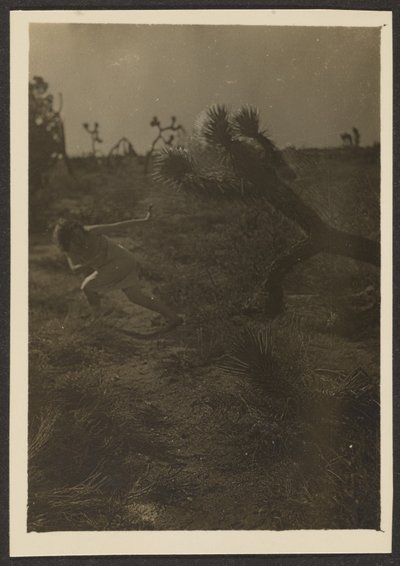 [Öknens bogeyman] av Louis Fleckenstein