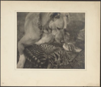 [Katt och hund] av Louis Fleckenstein