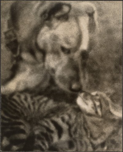 [Katt och hund] av Louis Fleckenstein