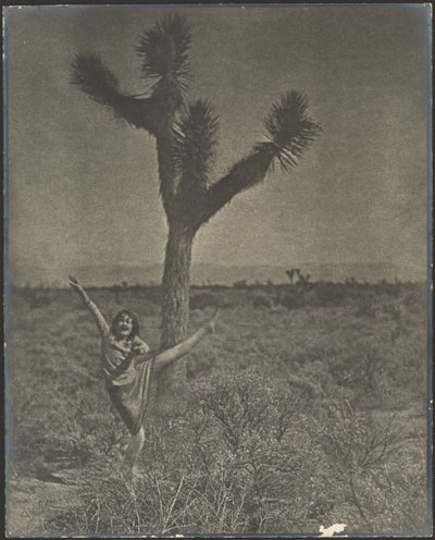 [Dansare vid Joshua Tree] av Louis Fleckenstein