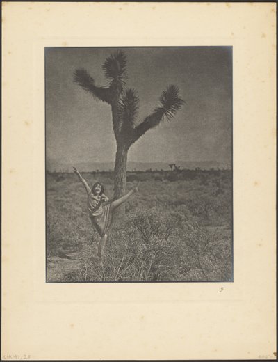 [Dansare vid Joshua Tree] av Louis Fleckenstein