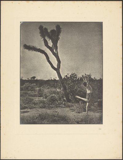 [Dansare vid Joshua Tree] av Louis Fleckenstein