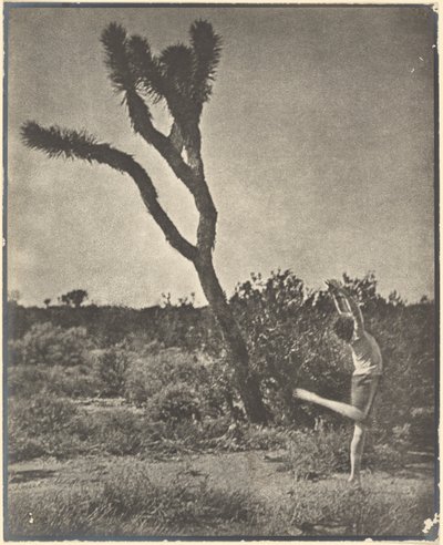 [Dansare vid Joshua Tree] av Louis Fleckenstein