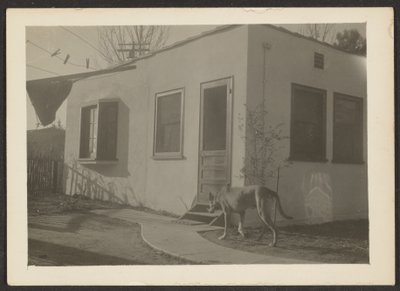 [Hund nära hus] av Louis Fleckenstein