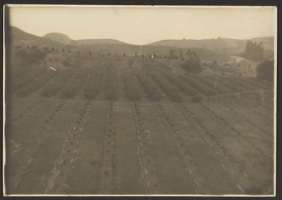 [Farm Landscape] av Louis Fleckenstein
