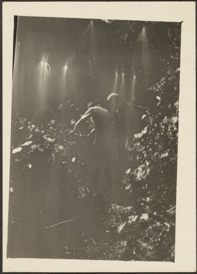 [Figurer i skogen] av Louis Fleckenstein