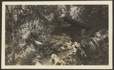 [Forest Lodge] av Louis Fleckenstein