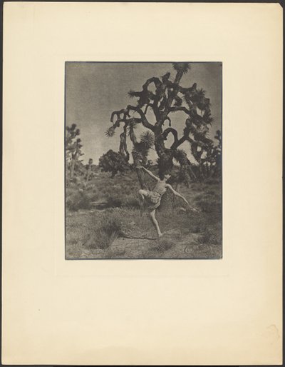 Inspiration till dansen av Louis Fleckenstein