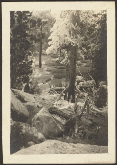 [Landskap] av Louis Fleckenstein