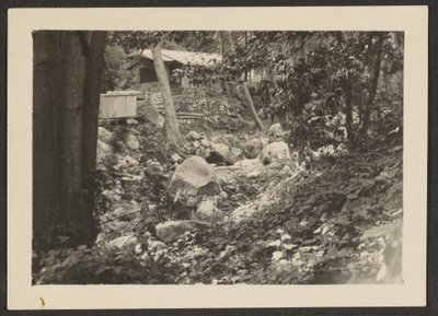 [Landskap] av Louis Fleckenstein