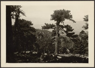 [Landskap] av Louis Fleckenstein