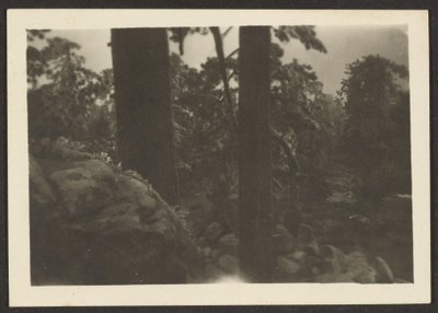[Landskap] av Louis Fleckenstein