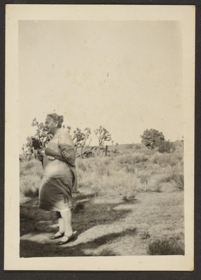 [Mrs Fleckenstein i Landscape] av Louis Fleckenstein
