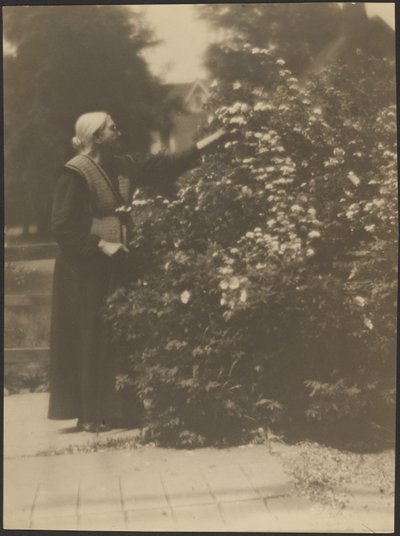 [Porträtt av en kvinna som plockar blommor] av Louis Fleckenstein